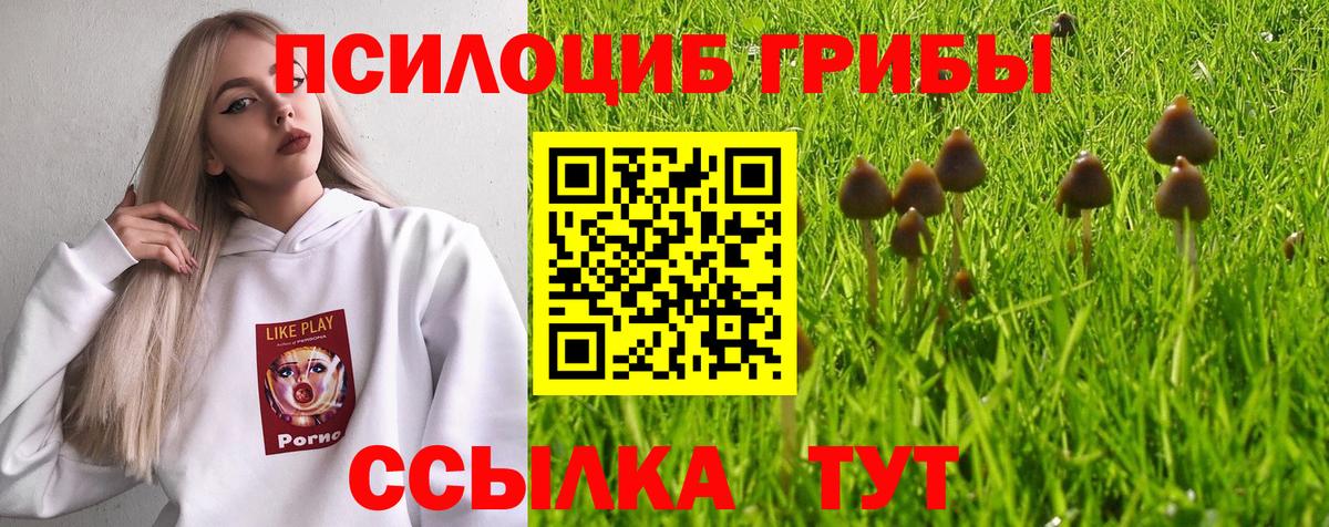 ГАШ  Ульяновск  COCAIN  Вейп ТГК  Амфетамин кристаллы  Бошки Шишки  Мефедрон   A-PVP СК   ГАШИШ  Вход с VPN 