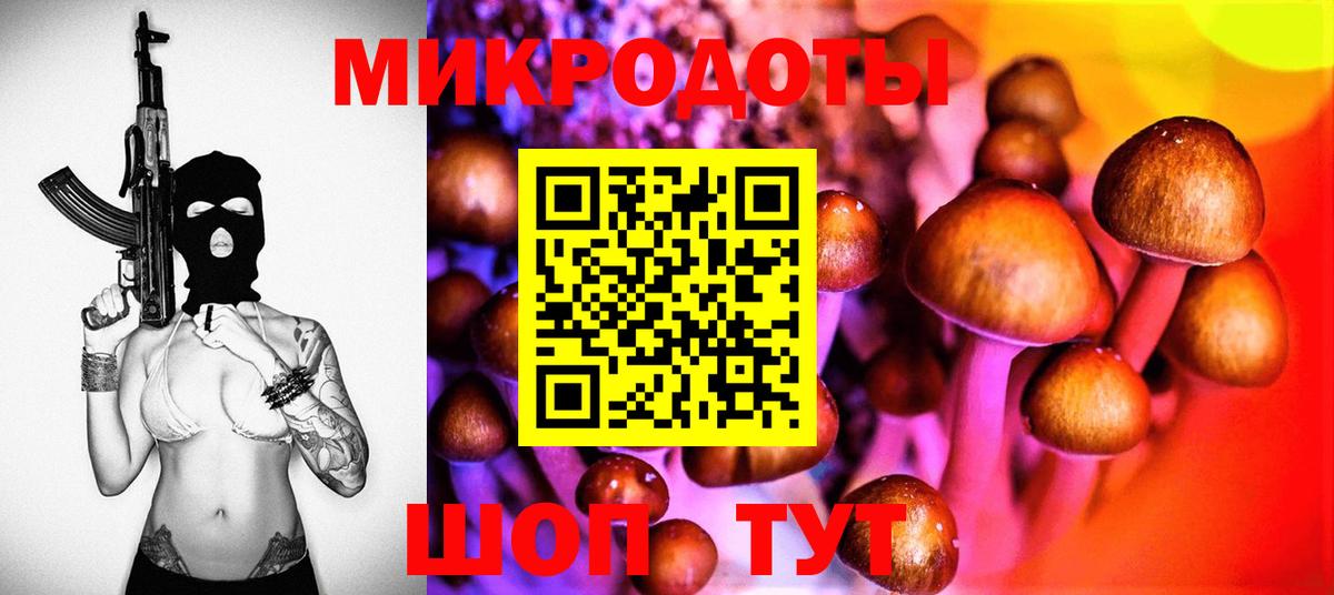 Галлюциногенные грибы Psilocybe  Псилоцибиновые грибы прущие грибы  Вход с VPN  Ульяновск 